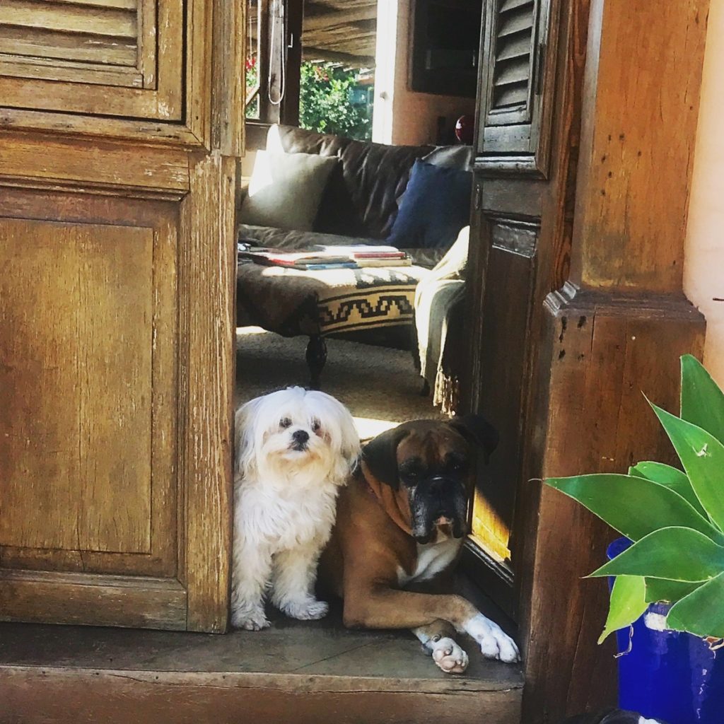 Luly e seu amigo cachorro.
